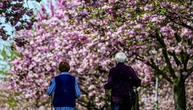Rentenerhöhung um 4,24 Prozent tritt zum 1. Juli in Kraft