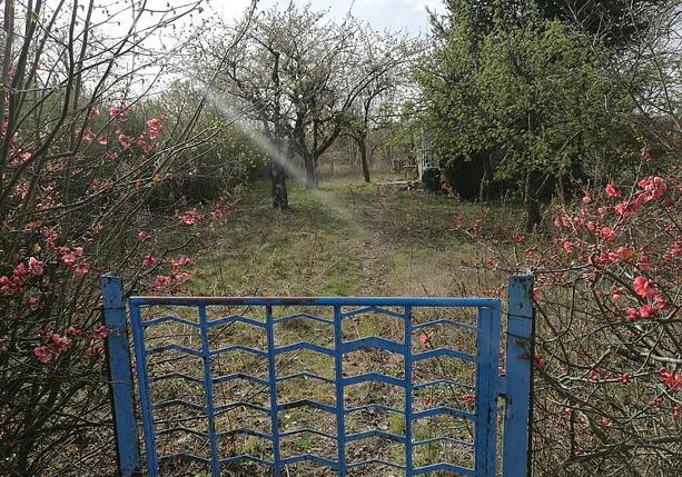 Bild vergr&ouml;&szlig;ern: Gartenbesitzer in Deutschland fördern verstärkt Artenvielfalt