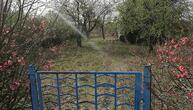 Gartenbesitzer in Deutschland fördern verstärkt Artenvielfalt