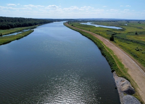 Bild vergr&ouml;&szlig;ern: Nach Fischsterben in der Oder: Vollständige Regeneration dauert noch Jahre