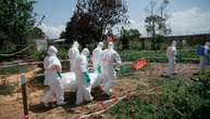 Rotes Kreuz: Ebola-Ausbruch in Demokratischer Republik Kongo könnte ein Jahr dauern