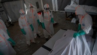 G7-Staaten fordern 