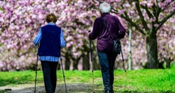 CDU-Wirtschaftsrat: Grundrente, Mütterrente und Rente mit 63 abschaffen