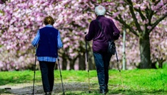 CDU-Wirtschaftsrat: Grundrente, Mütterrente und Rente mit 63 abschaffen