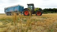 EU-Parlament stimmt über Lockerung der Gentechnik-Regeln ab