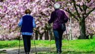 Rentenreform: Sozialverbände fordern 