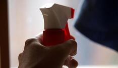 Ökonom: Minijob-Abschaffung würde Schwarzarbeit deutlich erhöhen
