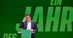 Grüne fordern Koalition zu Rücknahme von Heizungsgesetz auf - vor Anhörung im Bundestag