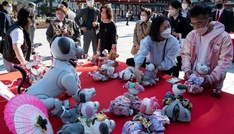 Sony stellt Verkauf von Roboterhündchen Aibo in Japan ein