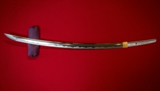 Vater mit Samuraischwert getötet: Siebeneinhalb Jahre Haft für 54-Jährigen