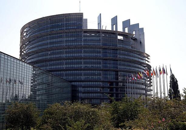 Bild vergr&ouml;&szlig;ern: EU-Abgeordnete fordern Prüfung von AfD-Dachpartei ESN