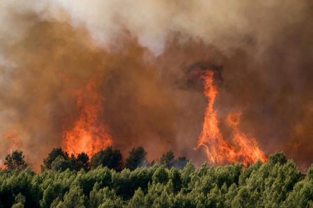Bild vergr&ouml;&szlig;ern: 3000 Menschen wegen Waldbrand im Süden Frankreichs evakuiert