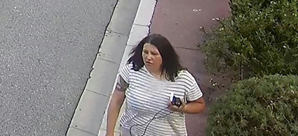 Bild vergr&ouml;&szlig;ern: Paketbombe in Monaco: Ukrainerin mit Wohnsitz in Deutschland gesucht