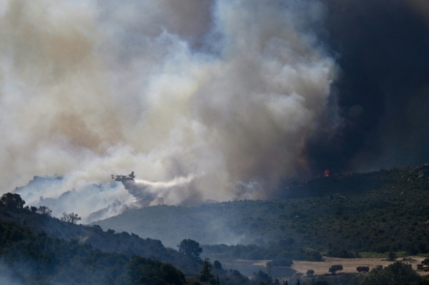 Bild vergr&ouml;&szlig;ern: Waldbrände in mehreren Ländern Südeuropas: Lage in Südfrankreich besonders angespannt