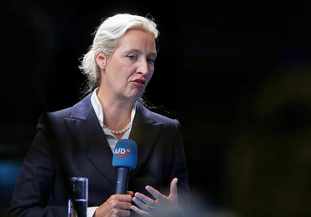 Bild vergr&ouml;&szlig;ern: Weidel hält sich bei Reform von Unvereinbarkeitsliste bedeckt