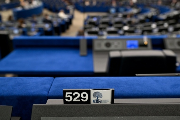 Bild vergr&ouml;&szlig;ern: EU-Parlament stimmt über Verfahren gegen EU-Parteienfamilie der AfD ab