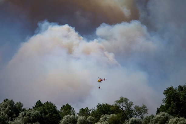 Bild vergr&ouml;&szlig;ern: Mindestens zwölf Tote bei Waldbrand im südspanischen Andalusien