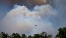 Zwölf Tote bei Waldbrand in Andalusien - Womöglich Stromleitung verantwortlich