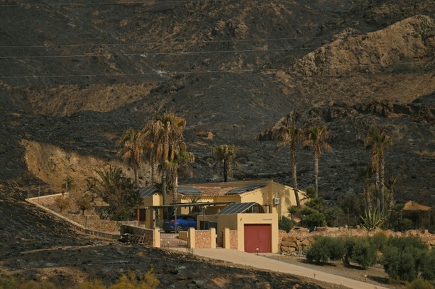 Bild vergr&ouml;&szlig;ern: 6600 Hektar Land durch Waldbrand in Spanien zerstört - Wetterbedienungen bessern sich