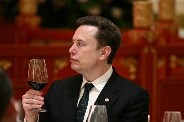 Bild vergr&ouml;&szlig;ern: Musk: Marine Le Pen ist letzte Hoffnung für Frankreich