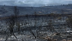 Spanien: Evakuierung mehrerer Gemeinden wegen Waldbrands nahe Madrid