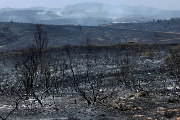 Bild vergr&ouml;&szlig;ern: Spanien: Evakuierung mehrerer Gemeinden wegen Waldbrands nahe Madrid