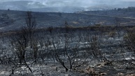 Spanien: Evakuierung mehrerer Gemeinden wegen Waldbrands nahe Madrid