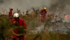 Brände in Frankreich: Flammen kommen bis 15 Kilometer an Großraum Bordeaux heran
