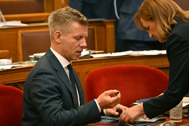 Bild vergr&ouml;&szlig;ern: Magyar-Partei wählt erstmals Verfassungsrichter - Amnesty: Verfahren wie unter Orban