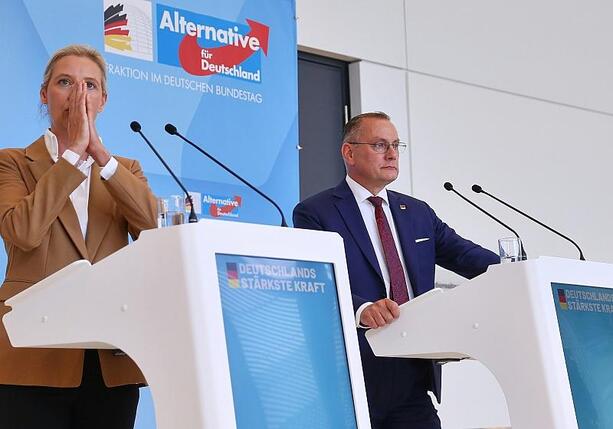 Bild vergr&ouml;&szlig;ern: Forsa: AfD erreicht neuen Höchststand