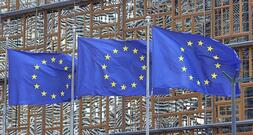 Ifo-Institut kritisiert EU-Plan zur Industrieförderung