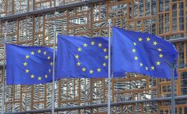 Ifo-Institut kritisiert EU-Plan zur Industrieförderung