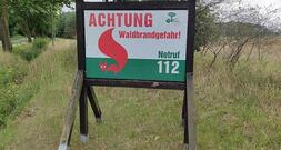 Waldbrand-Experte empfiehlt verstärkten Mischwaldanbau