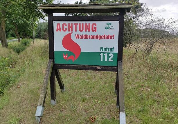 Bild vergr&ouml;&szlig;ern: Waldbrand-Experte empfiehlt verstärkten Mischwaldanbau