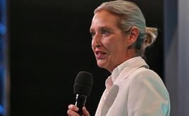 Politbarometer: AfD legt zu - Grüne und Linke verlieren