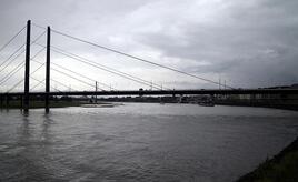 IW warnt vor den Folgen des Rhein-Niedrigwassers