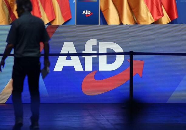 Bild vergr&ouml;&szlig;ern: Ex-Verfassungsrichter warnt vor kleinem Parteiverbot der AfD