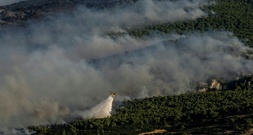 Mehr als 12.000 Hektar Land durch Waldbrände in Griechenland zerstört