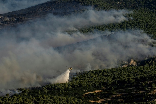 Bild vergr&ouml;&szlig;ern: Mehr als 12.000 Hektar Land durch Waldbrände in Griechenland zerstört