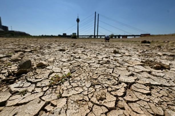 Bild vergr&ouml;&szlig;ern: Niedrigwasser: Rheinpegel sinken an mehreren Orten auf Tiefststand