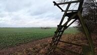 Jagdverband fordert mehr Einsatz gegen illegale Waffen