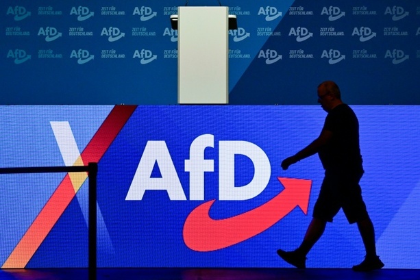 Bild vergr&ouml;&szlig;ern: Mehr als tausend Juristen fordern AfD-Verbotsverfahren