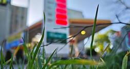 ADAC: Diesel im Juli um fast 28 Cent verteuert