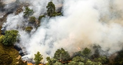 Waldbrand im Südosten der Niederlande nahe NRW ausgebrochen