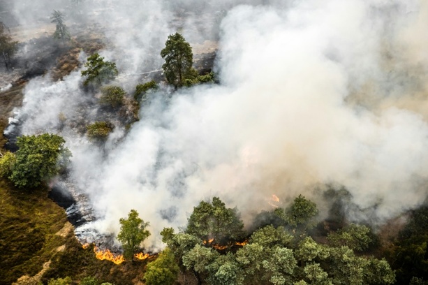Bild vergr&ouml;&szlig;ern: Waldbrand im Südosten der Niederlande nahe NRW ausgebrochen