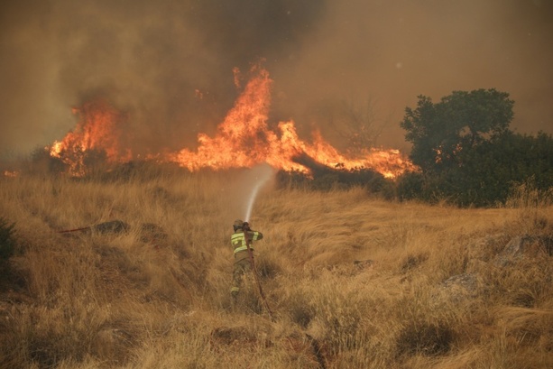 Bild vergr&ouml;&szlig;ern: Dutzende Löschflugzeuge weiter im Einsatz gegen Feuer nahe Athen