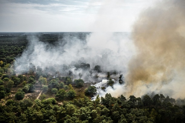 Bild vergr&ouml;&szlig;ern: Waldbrand breitet sich in Naturschutzgebiet im Südosten der Niederlande aus