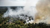 Waldbrand breitet sich in Naturschutzgebiet im Südosten der Niederlande aus