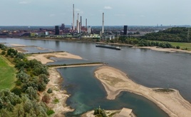 Niedrigwasser im Rhein: Unternehmen weichen auf Schiene und Lkw aus