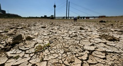 Anhaltende Trockenheit: Rheinpegel bei Düsseldorf auf historischem Tief